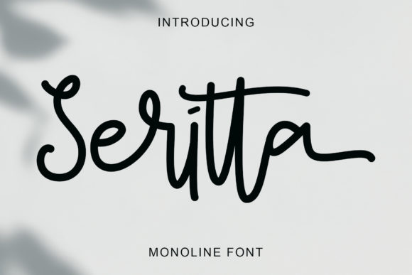 Seritta: A Friendly Font for Business Branding