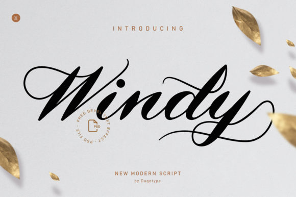 Windy: A Script Font for Professional Branding